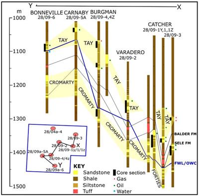 Effect of Hydrocarbon Presence and Properties on the Magnetic Signature of the Reservoir Sediments of the Catcher Area Development Region, UK North Sea